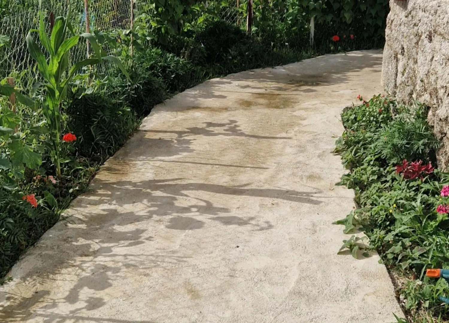 Guest House Vajze Vlore Holiday home