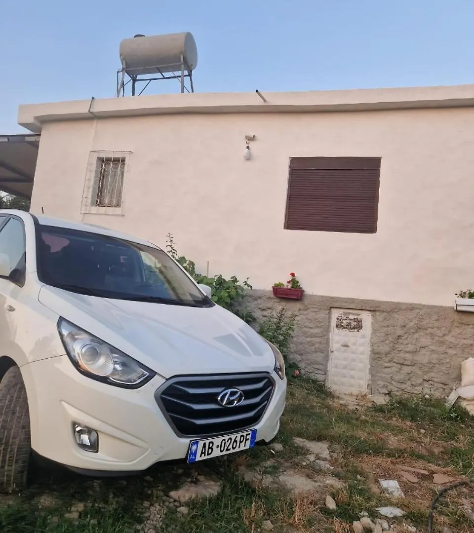 Guest House Vajze Vlore 0*,